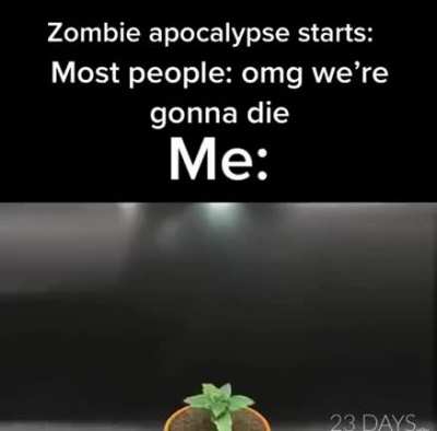 Plants vs Zombies