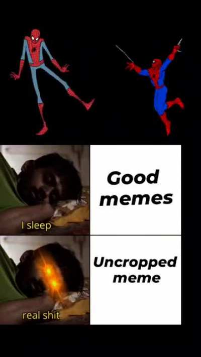 How my meme became real shit...