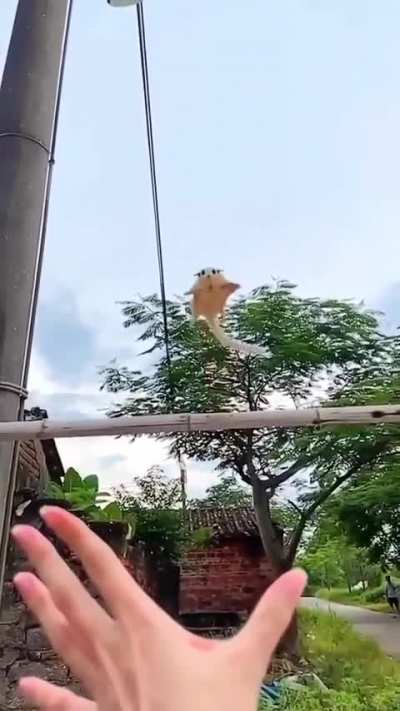 I can&rsquo;t stop watching this