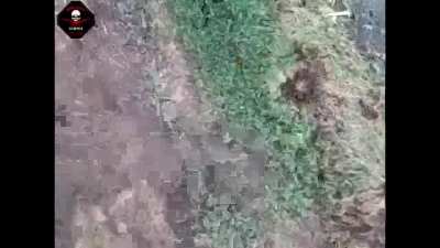 Ukraine War | UAV Battalion "Bulava" of the 72nd Mech Brigade strike Russians(July 27, 2024) *original audio from source*