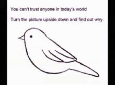 You won't believe