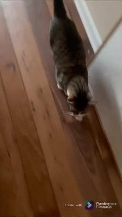 Maya waits patiently until the magic circle says it&rsquo;s dinner time. Then it&rsquo;s scream city.