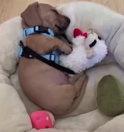 Sleepy taps 🥺