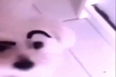 &iquest;🤔?