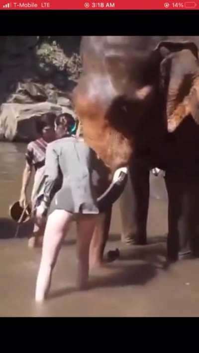 Standing infront of an elephant