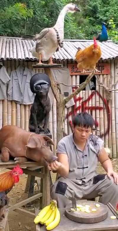 Feeding time