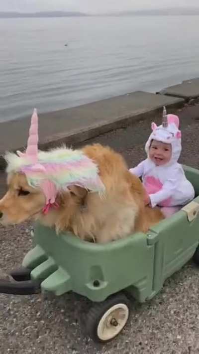 2020 needs more unicorns