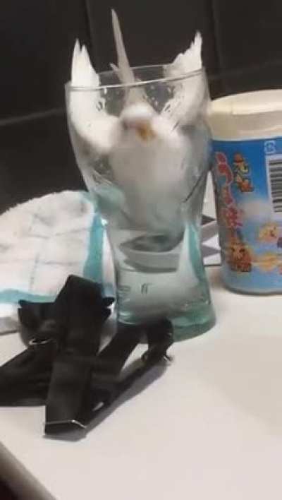 I&rsquo;m just going take a quick sip