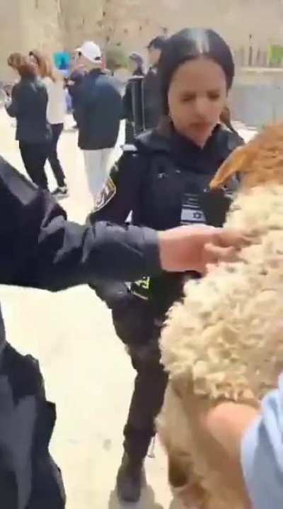 Yahudi cops don&rsquo;t let this bright non radical young man kill 🐑 for Passover next to Al Aqsa