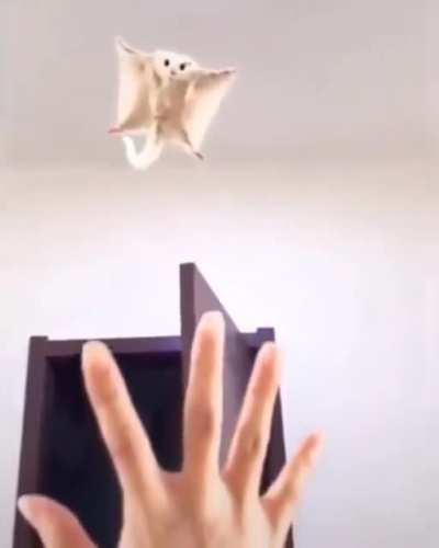 I believe I can fly&hellip;