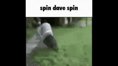 Post title(Spin)