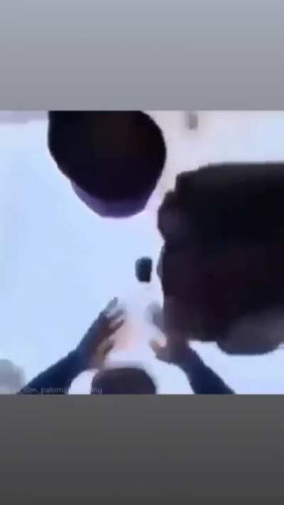 Bonk