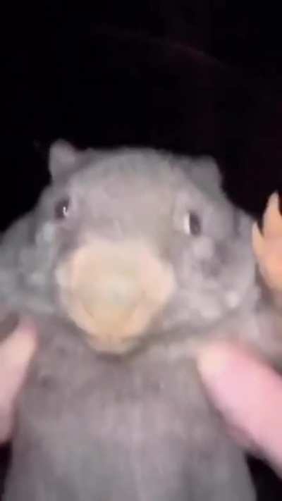 THEY FUCKING FOUND BOBER