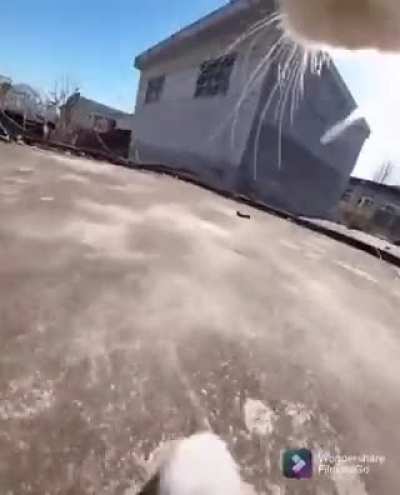 A cats POV