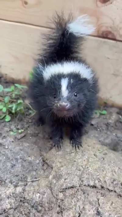 That’s some pretty good tippy-taps.
