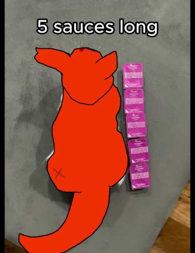 2 sauces long