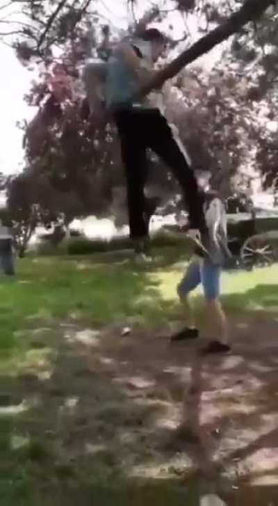 Never climbed a tree when friends are around
