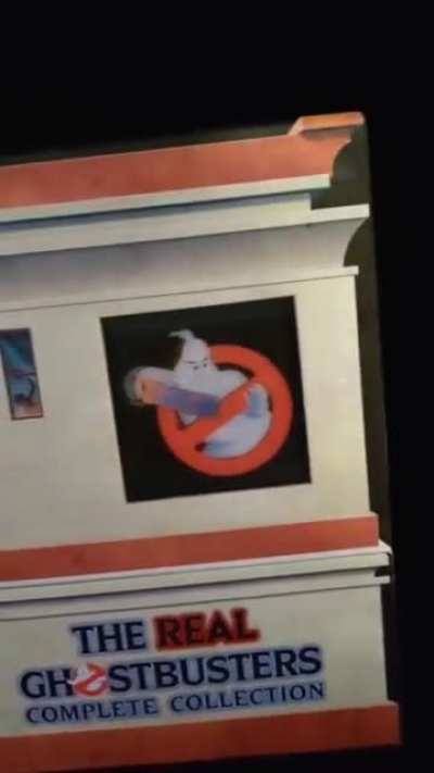 Real Ghostbusters Box Set