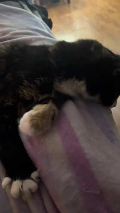 Scratches always bring out Email&rsquo;s rumbles (plus some bonus air biscuits).