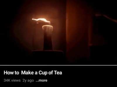 bro is trying to make echidna's tea 💀