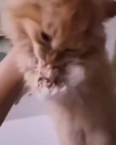 Sub's thumbnail