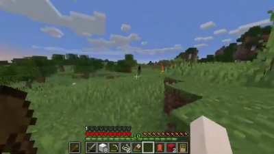 First time playing minecraft