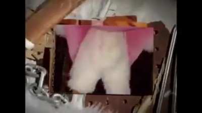 cursed_ darkness