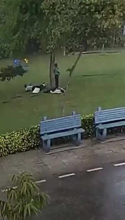 Во время грозы не стойте под деревьями, уснёте
