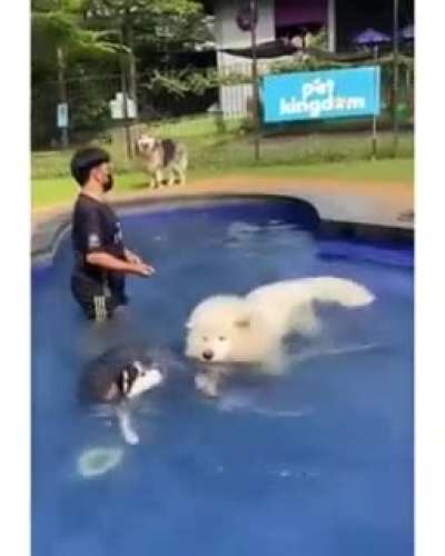 Excuse me&hellip;coming through&hellip;oops my bad
