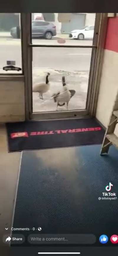 He says &ldquo;let me in&rdquo;