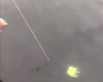 An Interesting Fish