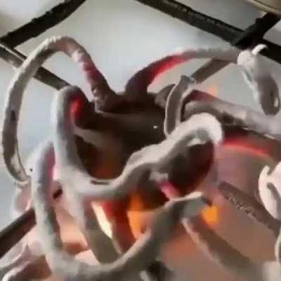 Burn your Pills 