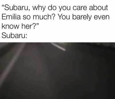 [meme] This video reminded me too much of the Re:Zero Season 2 OP so I had to make this