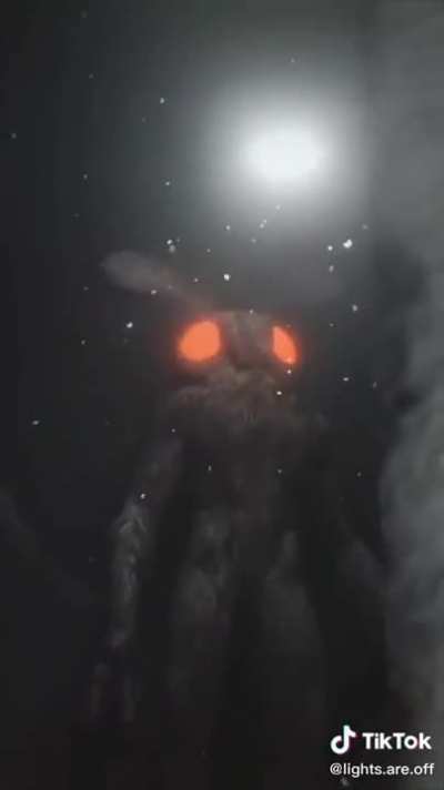 These CGI&rsquo;s