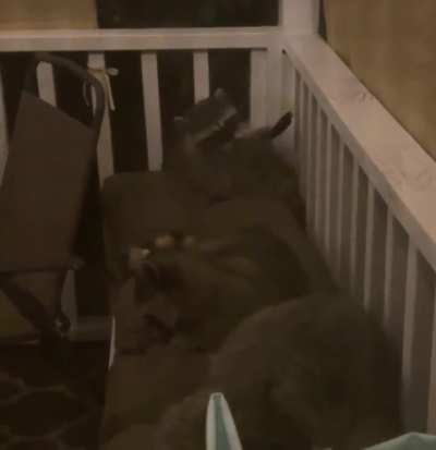 There&rsquo;s always one kid who doesn&rsquo;t want to nap