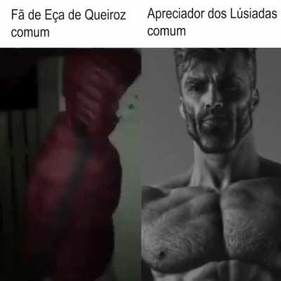 F&atilde; vs Apreciador