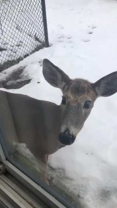 I heard a &ldquo;knock&rdquo; at my window