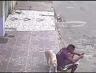 Poor dog lost its sense of smell