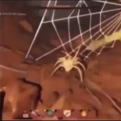 F you little spider