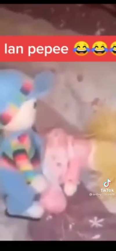 Beyler sanırım pepe b&uuml;y&uuml;m&uuml;ş