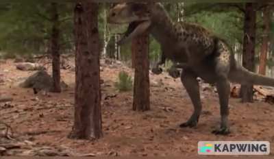 He's literally me.. (Ceratosaurus edit) Song: Memory Reboot