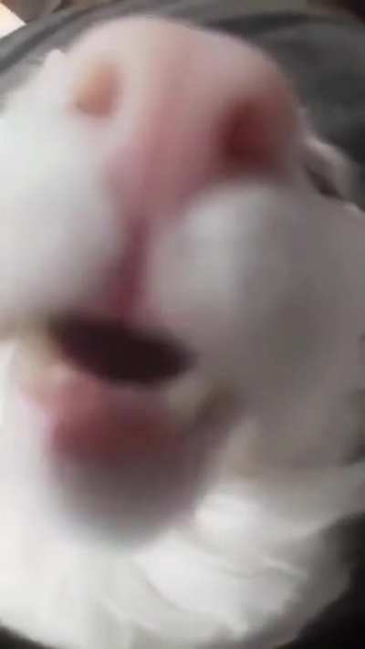 😰😰