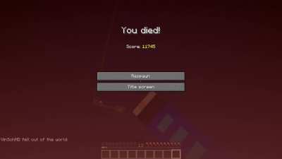 Allways make sure you have your elytra on..