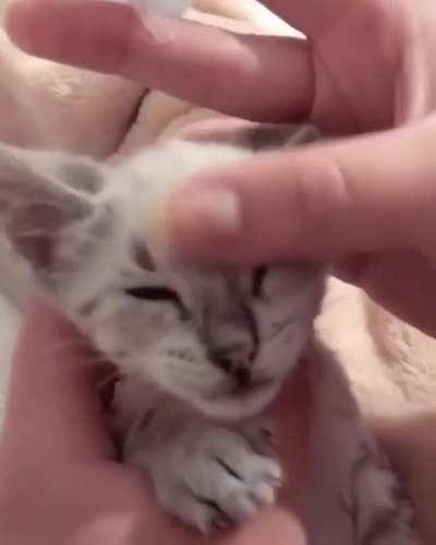 You tricked me hooman