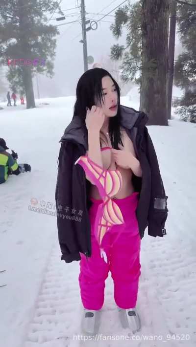 snow puppies
