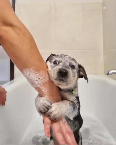 This baby is washing in the bathtub for the first time.