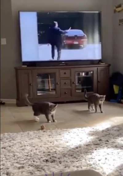 Double Boing!!!
