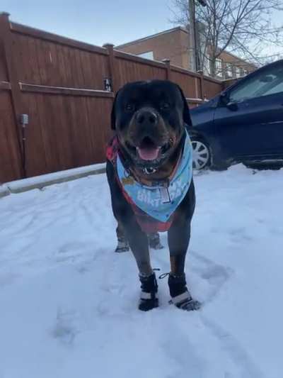 Cooper&rsquo;s 2nd birthday