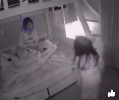 The exorcist pt. 2