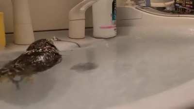 Hydro Massage